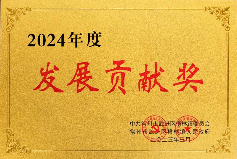 2024年度發(fā)展貢獻獎